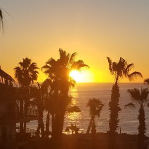 Meet your Posher, Kara